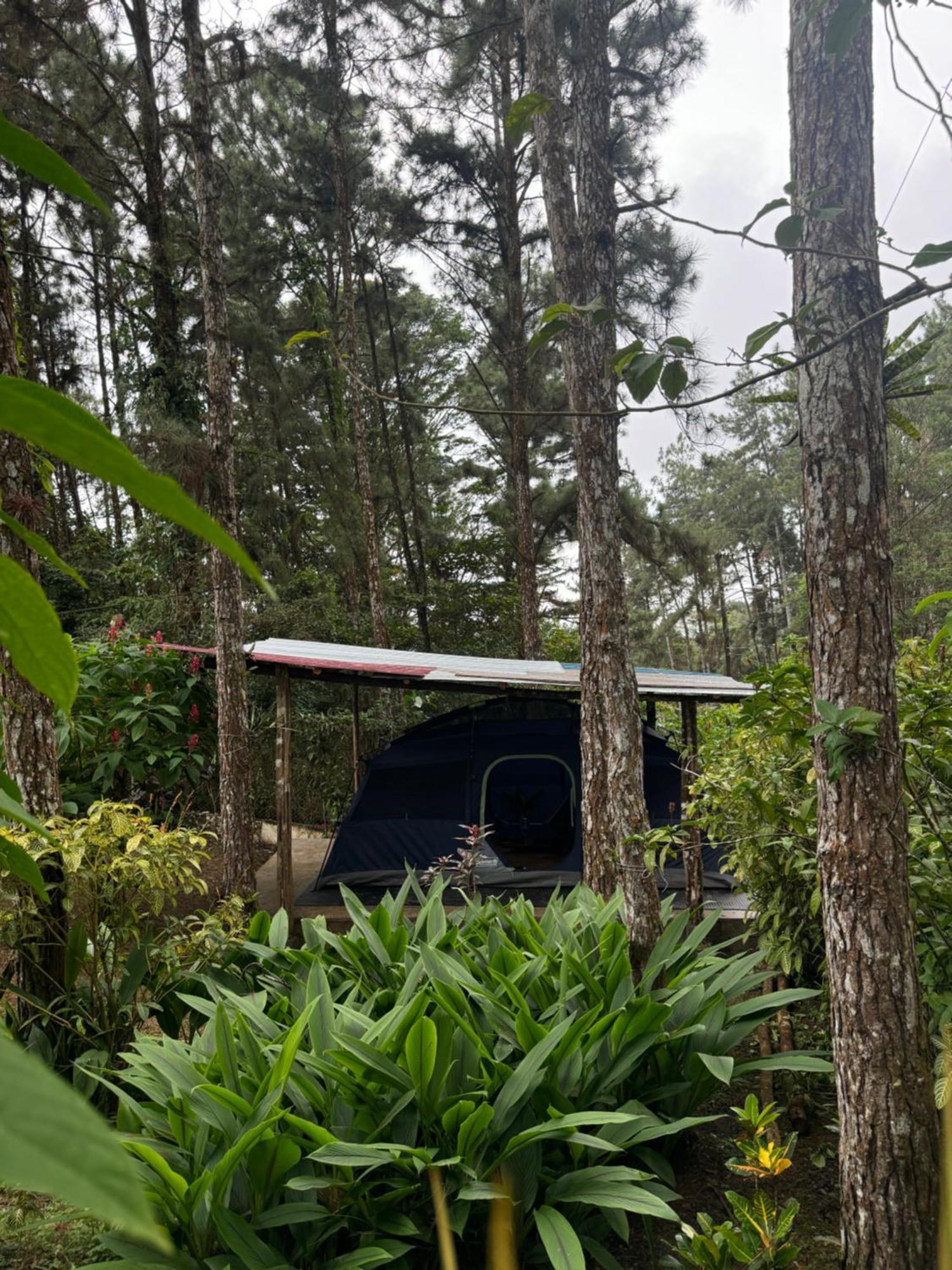 Unique & Affordable Glamping Camping *