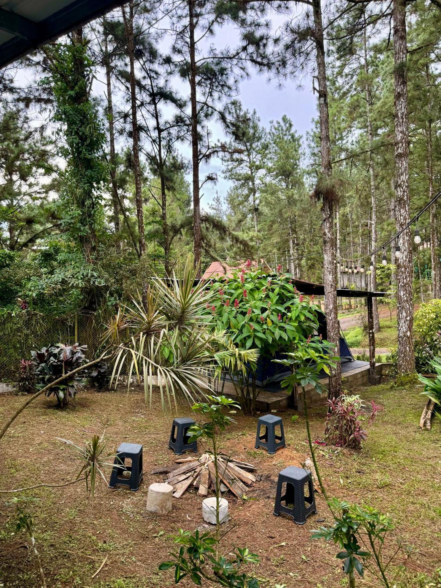 Unique & Affordable Glamping Camping *